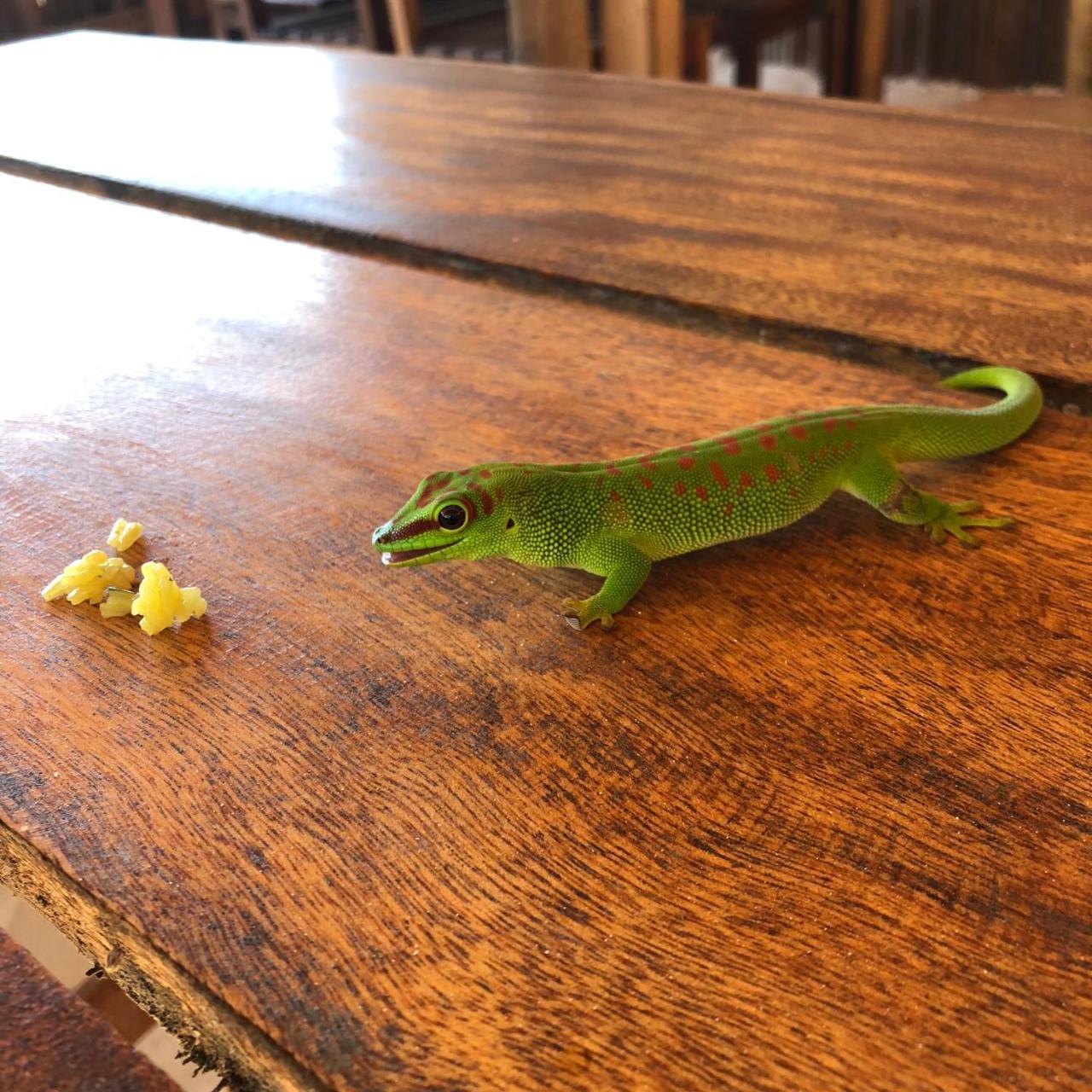 ホテル Kiteparadise-Madagascar Antsiranana エクステリア 写真